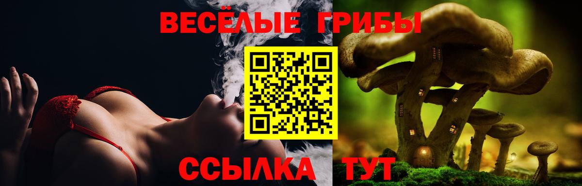 Заводоуковск  Псилоцибиновые грибы мицелий  Вход с VPN 